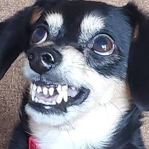 Meet your Posher, Joan